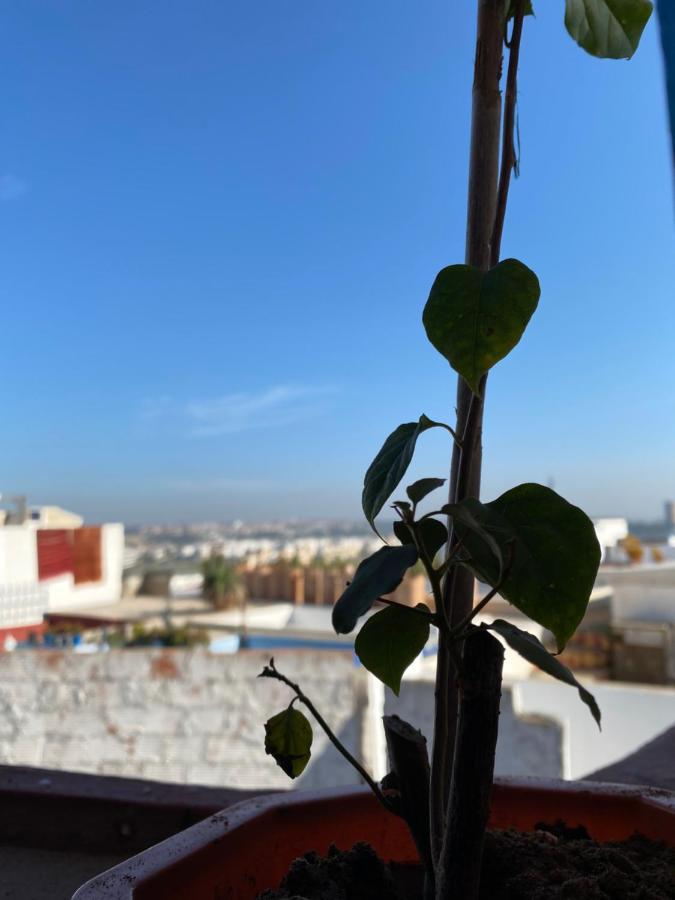 House Albahara Oudayas Apartment Rabat Exterior photo